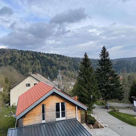 Traumferienwohnung Todtmoos - Appartment Mit Schoenem Wintergarten Exteriér fotografie